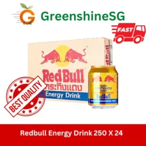 Red bull 250ml x 24 carton
